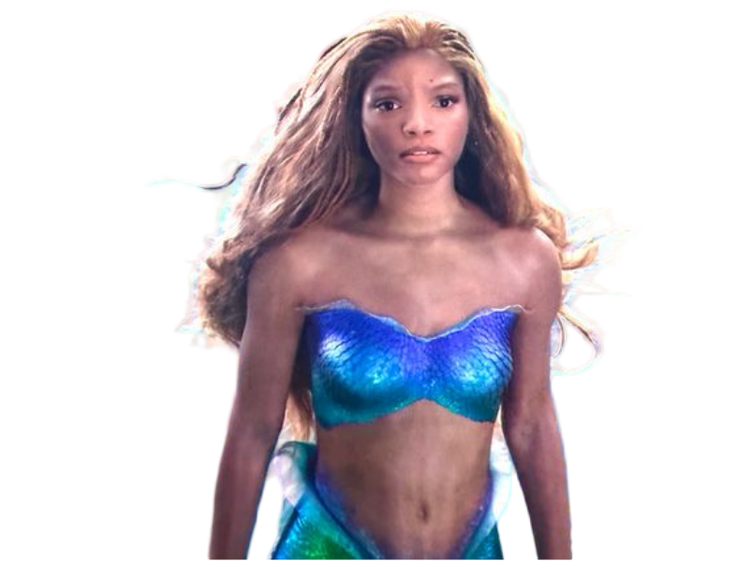 Halle Ariel Blank Meme Template