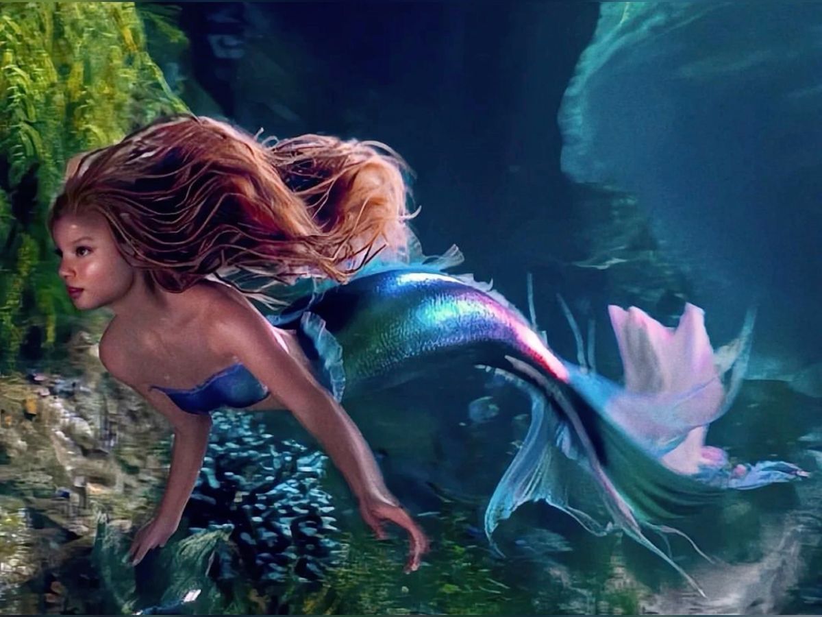 Halle Mermaid Blank Meme Template
