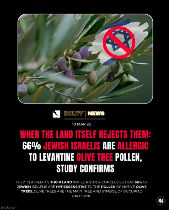 LMAO | made w/ Imgflip meme maker