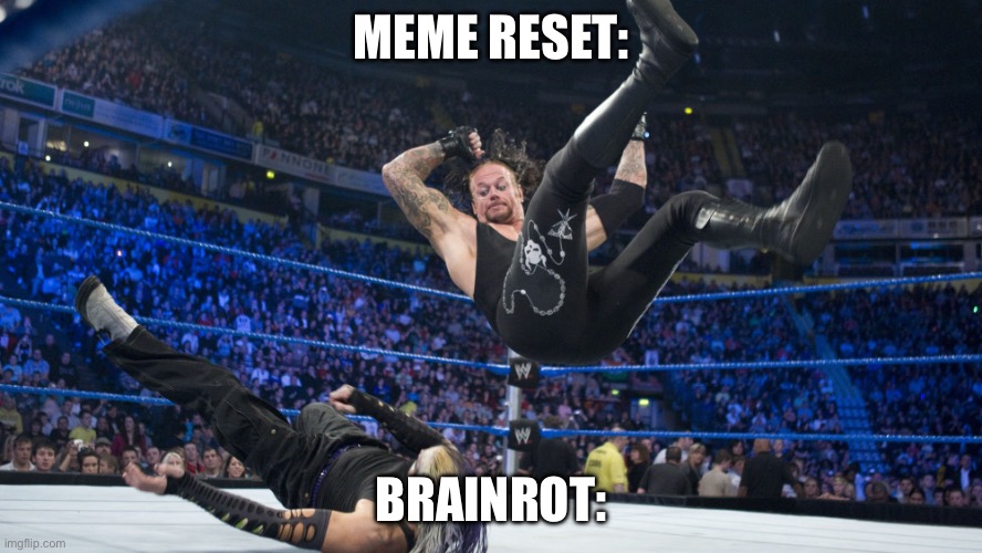 What we thought would happen | Meme reset:; Brainrot: | image tagged in meme smackdown,memes | made w/ Imgflip meme maker