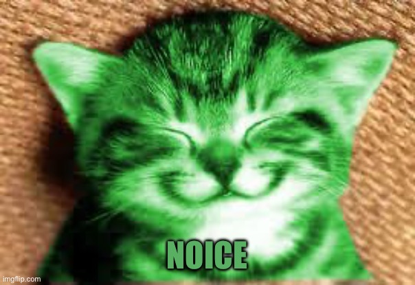 happy RayCat | Noice | image tagged in happy raycat | made w/ Imgflip meme maker