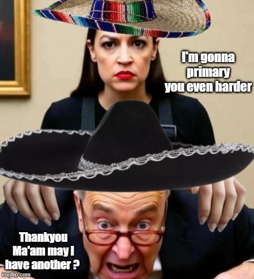 I'm gonna primary you even harder Thankyou Ma'am may I have another ? | made w/ Imgflip meme maker