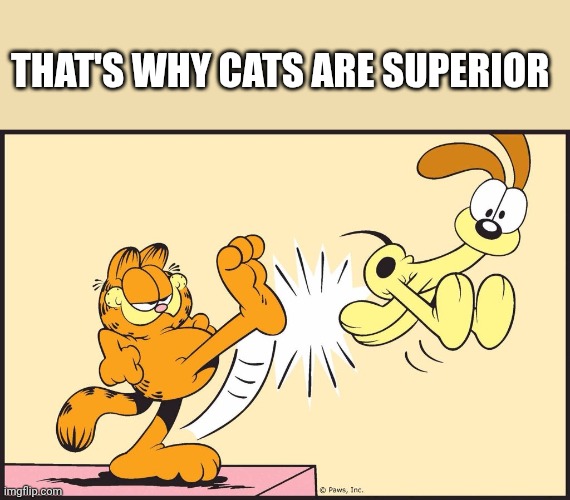 Garfield kicking odie | That's why cats are superior | image tagged in garfield kicking odie | made w/ Imgflip meme maker