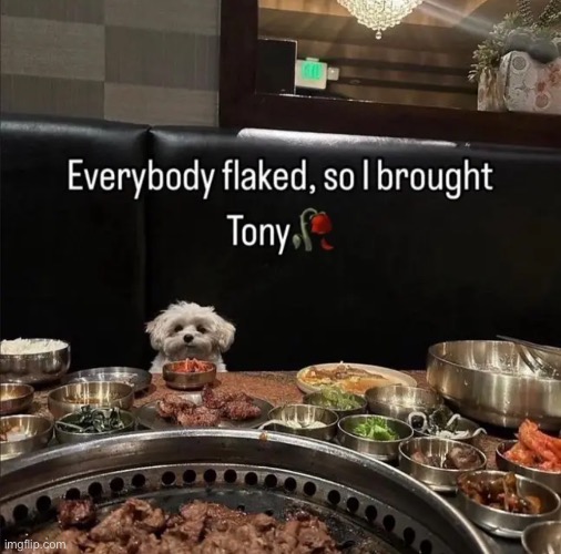 tony the man | made w/ Imgflip meme maker