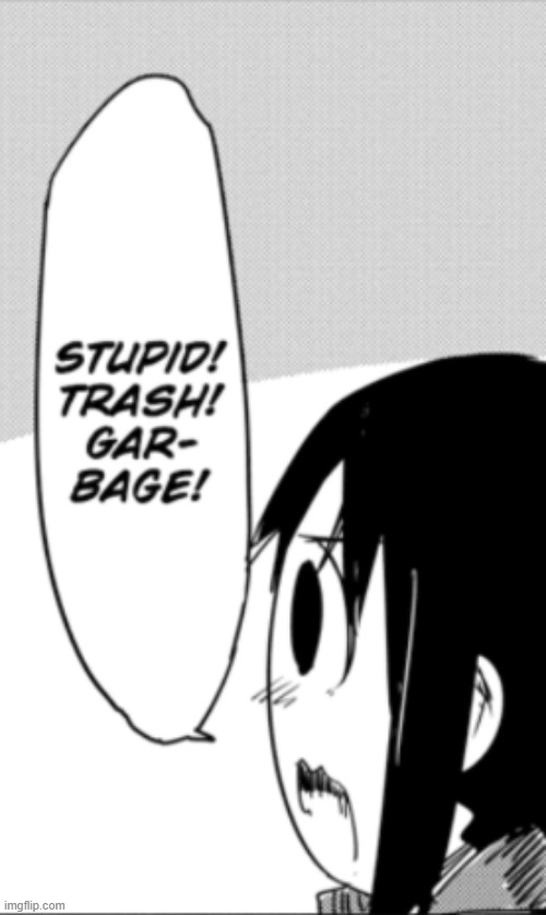 STUPID! TRASH! GARBAGE! | image tagged in stupid trash garbage | made w/ Imgflip meme maker