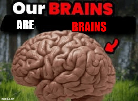 our brains are brains 2.0 | BRAINS; are | image tagged in our brains | made w/ Imgflip meme maker