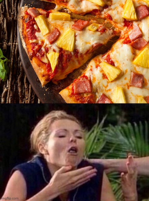 Pineapple on Pizza | image tagged in pineappleonpizza,about to puke | made w/ Imgflip meme maker