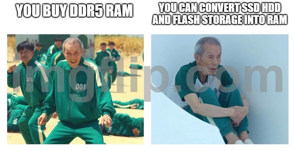 did you know...... | you can convert ssd hdd and flash storage into ram; you buy ddr5 ram | image tagged in squid game then and now | made w/ Imgflip meme maker