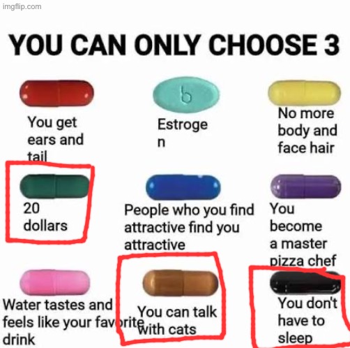you can only choose 3 | image tagged in you can only choose 3,remix | made w/ Imgflip meme maker