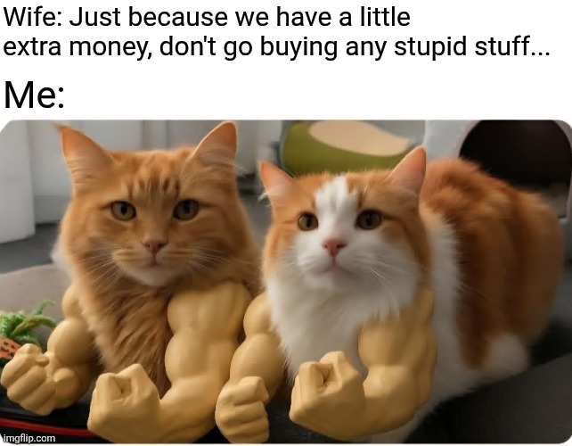 Money well spent | Wife: Just because we have a little extra money, don't go buying any stupid stuff... Me: | image tagged in cat,muscles,funny cats,shut up and take my money,fight me,cats | made w/ Imgflip meme maker