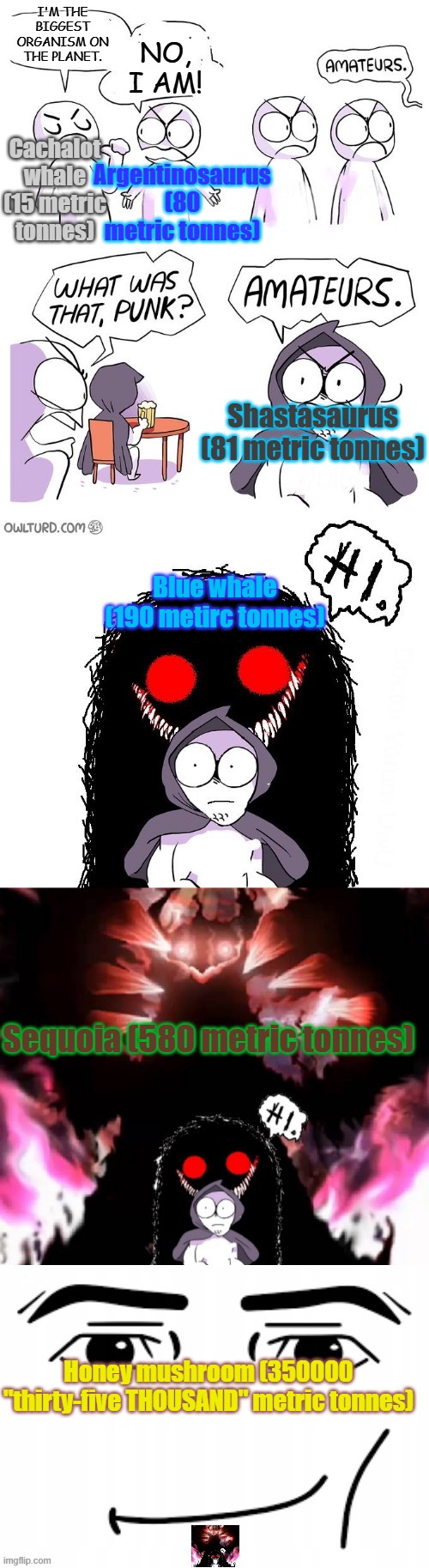 Godzilla has been real quiet lately | I'm the biggest organism on the planet. No, I am! Cachalot whale (15 metric tonnes); Argentinosaurus (80 metric tonnes); Shastasaurus (81 metric tonnes); Blue whale (190 metirc tonnes); Sequoia (580 metric tonnes); Honey mushroom (350000 "thirty-five THOUSAND" metric tonnes) | image tagged in amateurs 5 0,nature,biology,heavy,weight,metric | made w/ Imgflip meme maker
