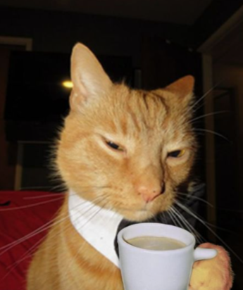 George Boss Blank Meme Template