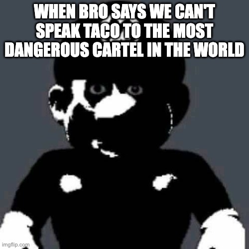 Cooked... | when bro says we can't speak taco to the most dangerous cartel in the world | image tagged in scary mario,taco,gang | made w/ Imgflip meme maker