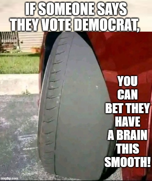 You can bet they have a brain this smooth! | you can bet they have a brain this smooth! If someone says they vote democrat, | image tagged in smoothie,sam elliott special kind of stupid | made w/ Imgflip meme maker