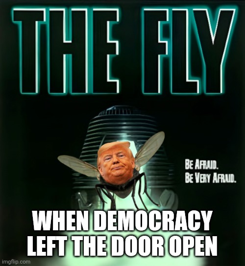 Lord of the Flies | When democracy left the door open | image tagged in donald trump,fly,experiment,iran,trump lies | made w/ Imgflip meme maker