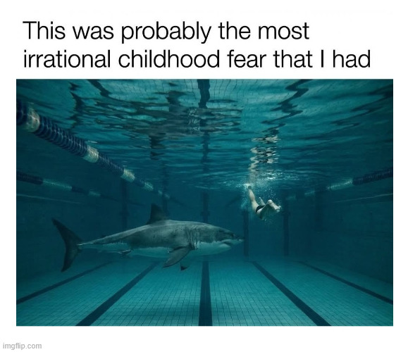 True | image tagged in swimming,shark,memes,lattice climbing,dark humor,latticeclimbing | made w/ Imgflip meme maker