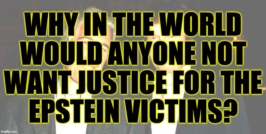 You know what I think? The government must be protecting somebody. | why in the world
would anyone not
want justice for the
epstein victims? | image tagged in trump epstein,memes,justice | made w/ Imgflip meme maker
