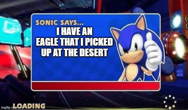 Sonic has a Desert Eagle | i have an eagle that i picked up at the desert | image tagged in sonic says | made w/ Imgflip meme maker