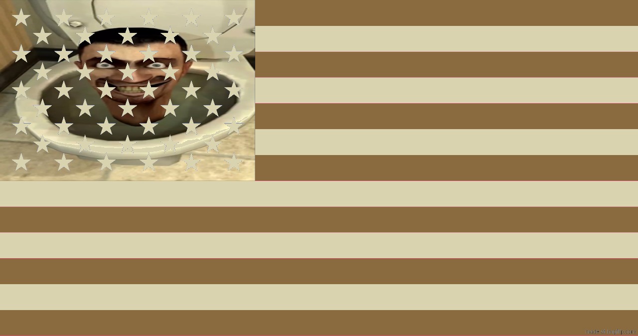 united states of skibidi | image tagged in skibidi | made w/ Imgflip meme maker