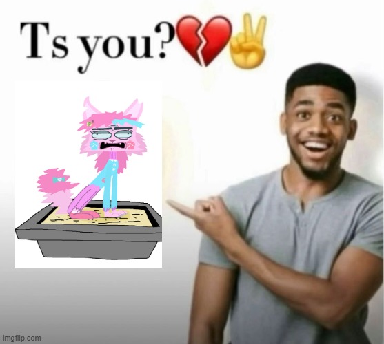 Message to Kaitlynkrappy13 | image tagged in ts you,deviantart,cornballs,kaitlynkitty13,why are you reading the tags | made w/ Imgflip meme maker