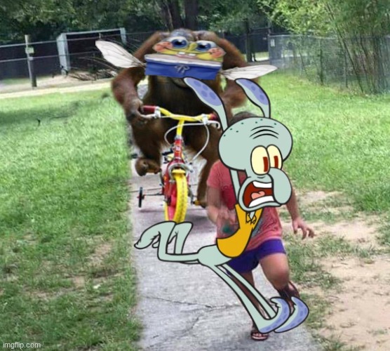 Nectar run | image tagged in run | made w/ Imgflip meme maker