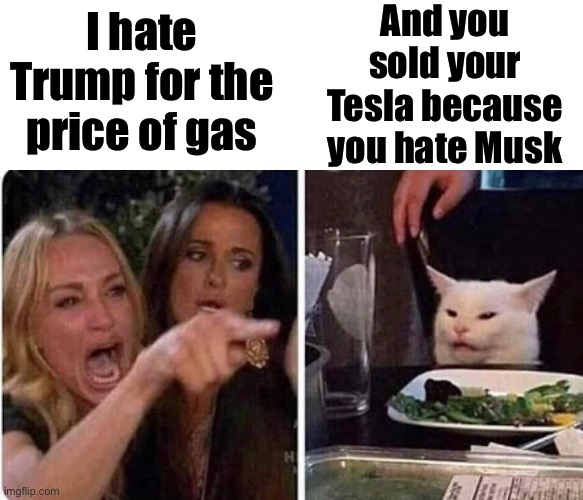 Hate has consequences | And you sold your Tesla because you hate Musk; I hate Trump for the price of gas | image tagged in lady screams at cat,liberal logic | made w/ Imgflip meme maker