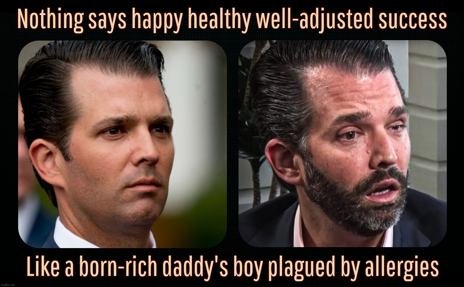 Nothing says happy healthy well-adjusted success; Like a born-rich daddy's boy plagued by allergies | made w/ Imgflip meme maker