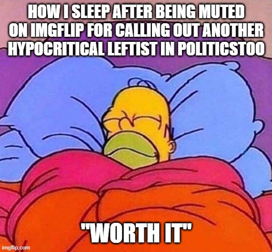 They can cry to the mommy-mods all they want, but at least I made my point | How I sleep after being muted on imgflip for calling out another hypocritical leftist in politicstoo; "worth it" | image tagged in homer simpson sleeping peacefully,leftist hypocrisy,liberal hypocrisy,leftist hatred,hateful leftists | made w/ Imgflip meme maker