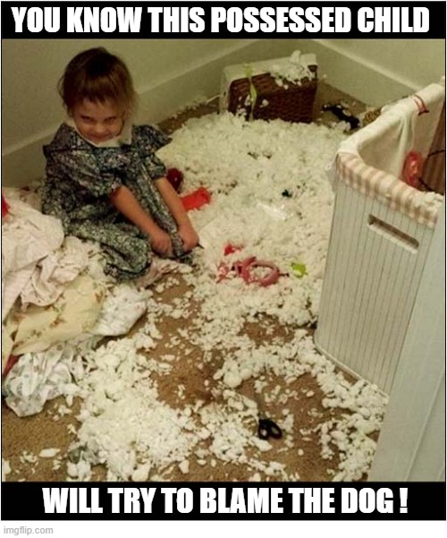 Just Look At Those Eyes ! | You know this possessed child; Will try to blame the dog ! | image tagged in possessed,child,destruction,blame,dog | made w/ Imgflip meme maker
