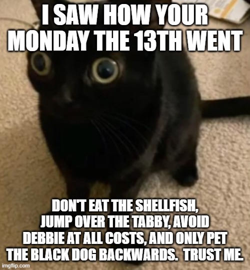 Monday the 13th | I saw how your Monday the 13th went; Don't eat the shellfish, jump over the tabby, avoid Debbie at all costs, and only pet the black dog backwards.  Trust me. | image tagged in big eye cat,superstition,oh no black cat | made w/ Imgflip meme maker