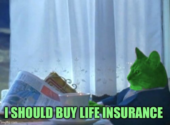 I Should Buy a Boat RayCat | I should buy life insurance | image tagged in i should buy a boat raycat | made w/ Imgflip meme maker