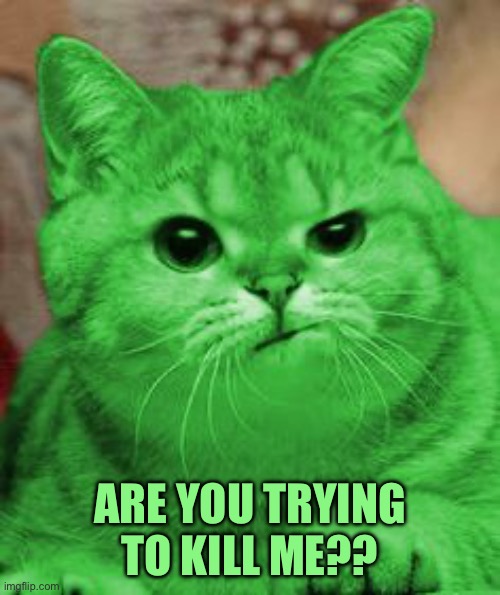 RayCat Annoyed | Are you trying to kill me?? | image tagged in raycat annoyed | made w/ Imgflip meme maker