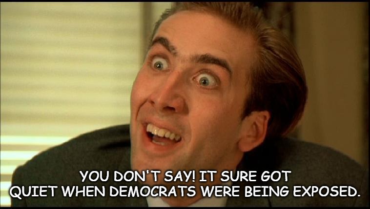 You Don't Say - Nicholas Cage | You don't say! It sure got quiet when Democrats were being exposed. | image tagged in you don't say - nicholas cage | made w/ Imgflip meme maker