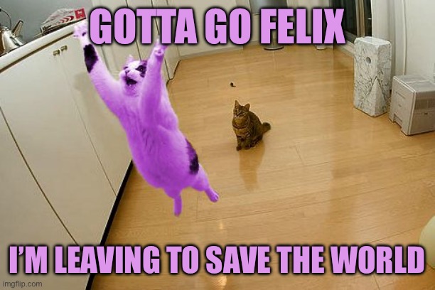 RayCat save the world | Gotta go felix; I’m leaving to save the world | image tagged in raycat save the world | made w/ Imgflip meme maker