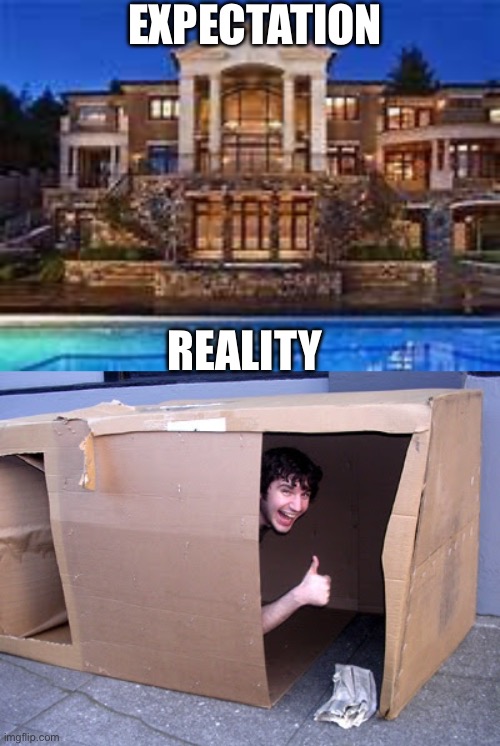 This is my future | Expectation; Reality | image tagged in cardboard box house,future | made w/ Imgflip meme maker