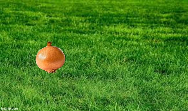 Interesting | image tagged in touching grass,onion,onions,memes,vegetable,happy | made w/ Imgflip meme maker