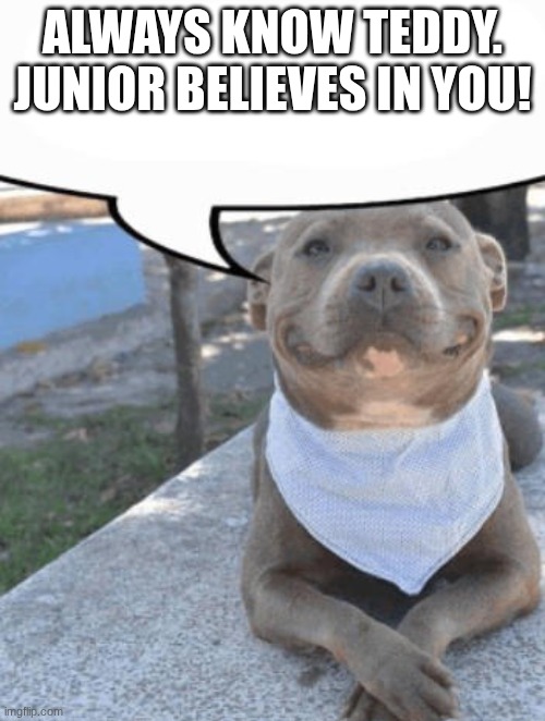 he believes in you! | always know Teddy. Junior believes in you! | image tagged in waiter more x please | made w/ Imgflip meme maker