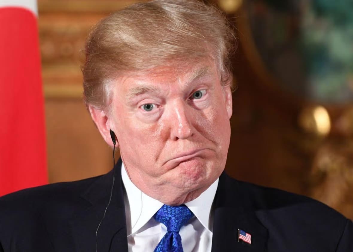 Useful Idiot Blank Meme Template