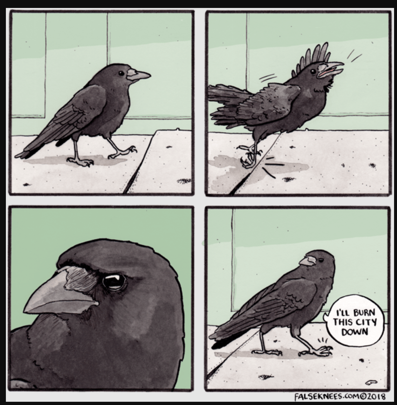 Crow Life Blank Meme Template