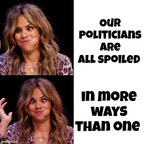 Hot Halle Berry | Our Politicians are all spoiled in more ways than one | image tagged in hot halle berry | made w/ Imgflip meme maker