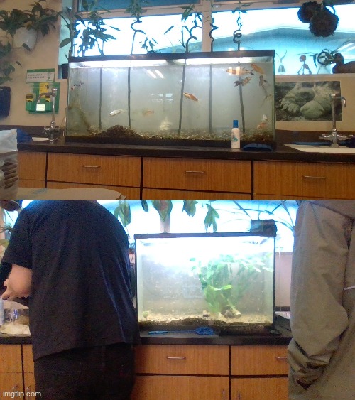 mfs don't know how to feed fish | made w/ Imgflip meme maker