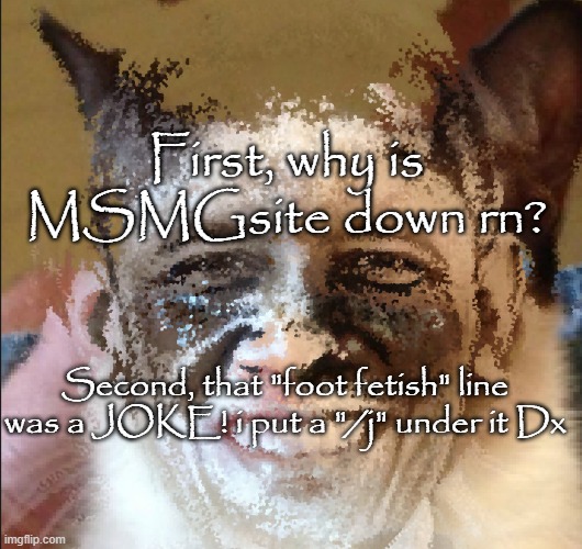 Cat obama | First, why is MSMGsite down rn? Second, that "foot fetish" line was a JOKE! i put a "/j" under it Dx | image tagged in cat obama | made w/ Imgflip meme maker