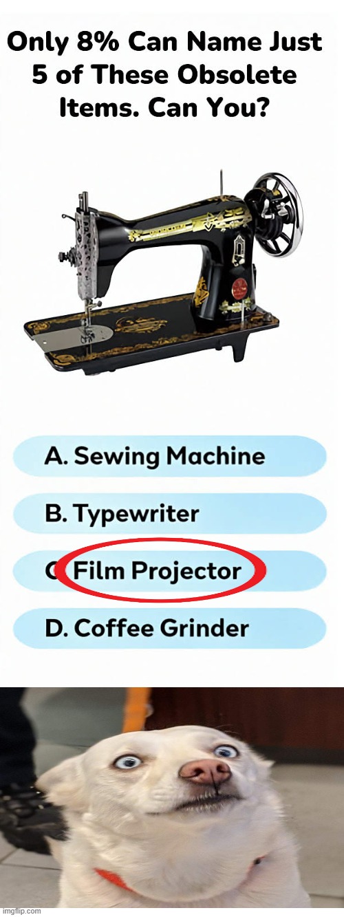 Bro | image tagged in what is that | made w/ Imgflip meme maker