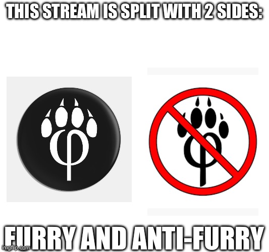 Civil war | This stream is split with 2 sides:; Furry and anti-furry | image tagged in true,memes | made w/ Imgflip meme maker