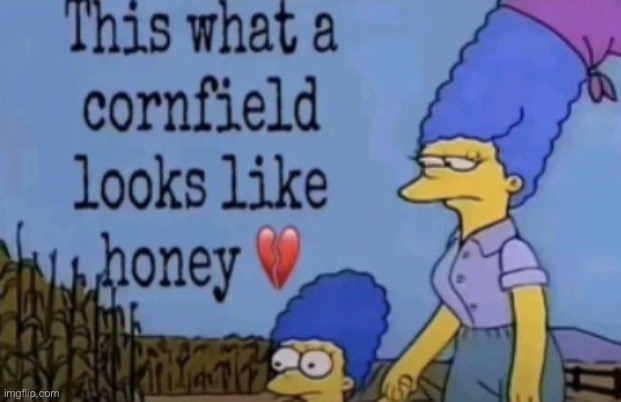 this is what a cornfield looks like honey ? | image tagged in this is what a cornfield looks like honey | made w/ Imgflip meme maker
