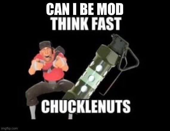 THINK FAST CHUCKLENUTS | Can I be mod | image tagged in think fast chucklenuts | made w/ Imgflip meme maker