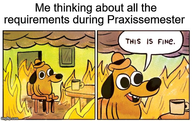 This Is Fine | Me thinking about all the requirements during Praxissemester | image tagged in memes,this is fine | made w/ Imgflip meme maker