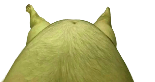 Charlie Dompler's Hair Fat Lower Body Blank Meme Template