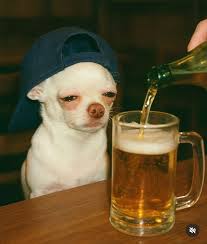 Beer Blank Meme Template