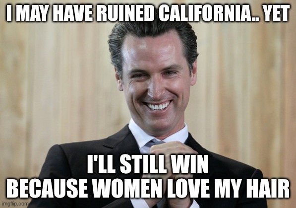 Scheming Gavin Newsom  | I may have ruined california.. yet; i'll still win because women love my hair | image tagged in scheming gavin newsom | made w/ Imgflip meme maker